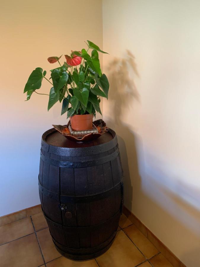 A Louer Appartement Dans Une Maison アルカング エクステリア 写真